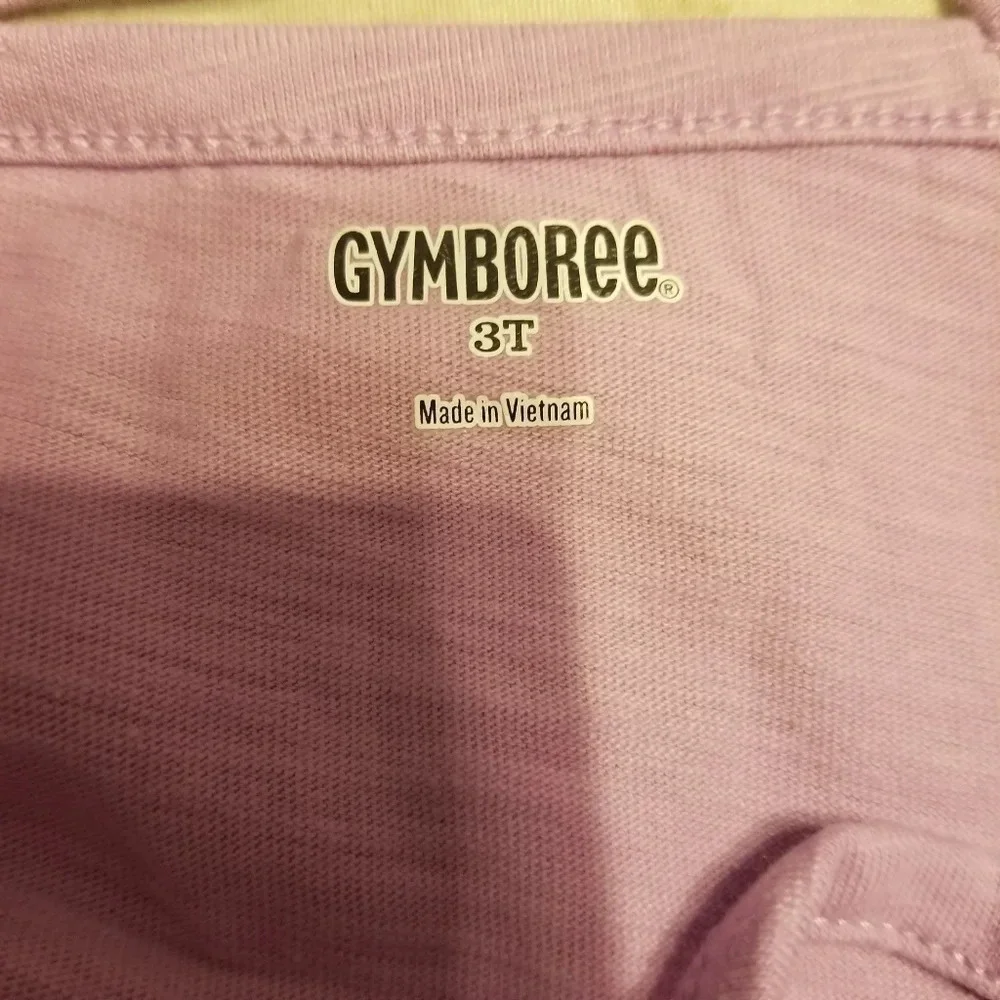 Gymboree Toddler Girl Embroidered Dress 3T